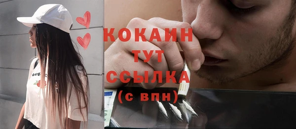 соль ск Богданович