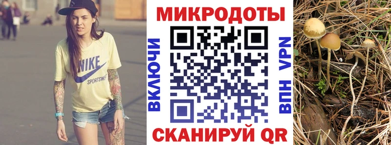 кракен   Спас-Деменск  Псилоцибиновые грибы Psilocybe 